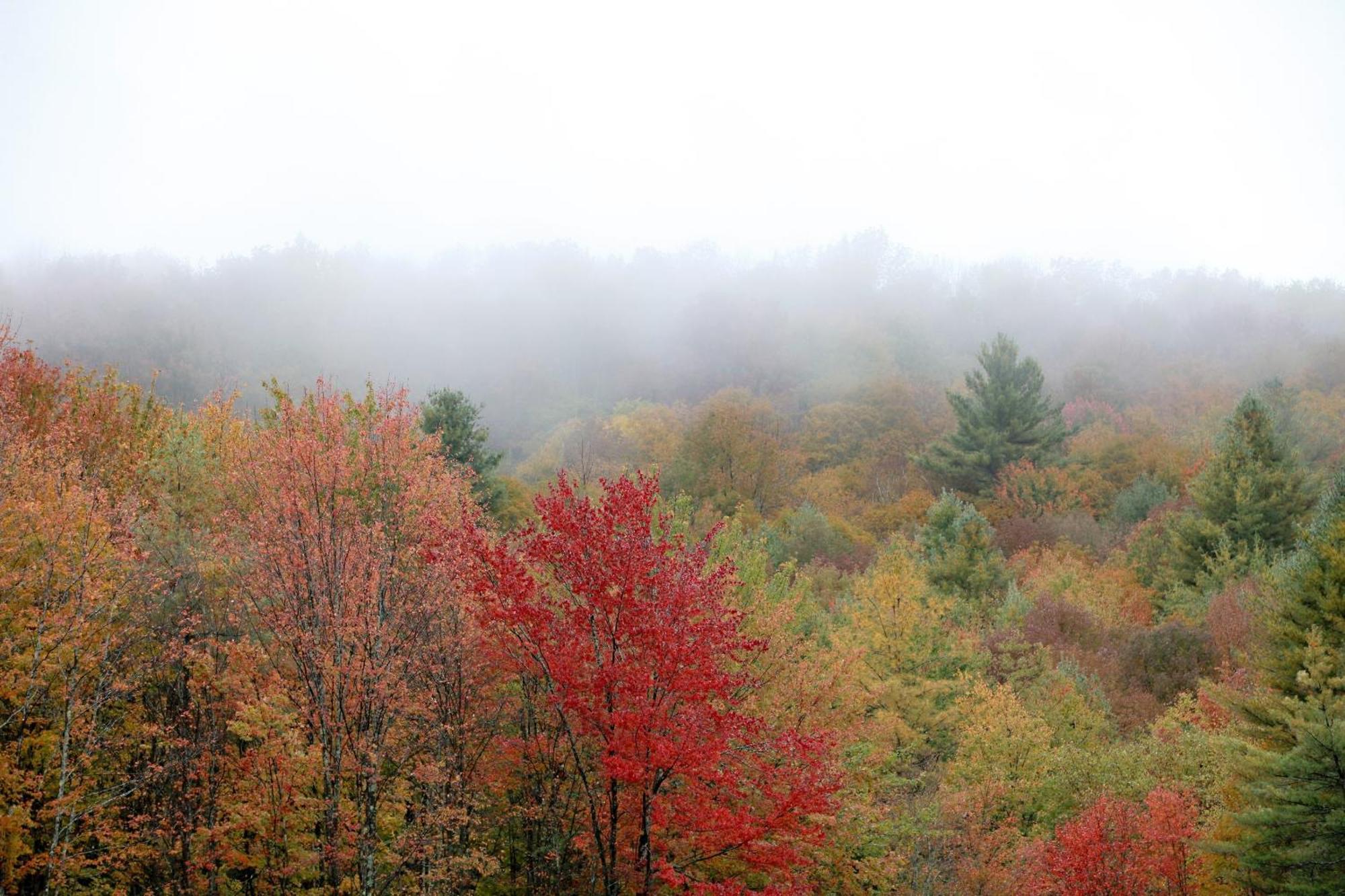 Trailside Inn Killington Bagian luar foto