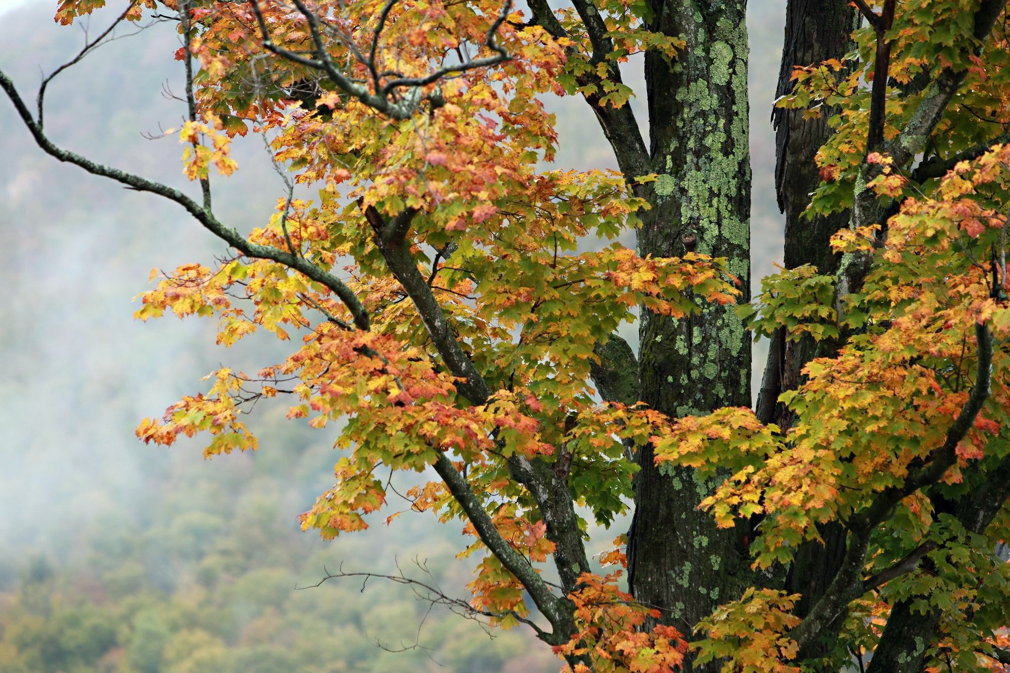 Trailside Inn Killington Bagian luar foto